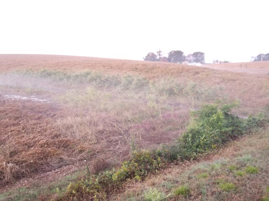 biodiverse border still growing
