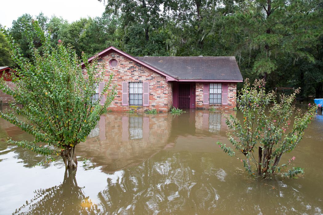Single-story brick house flooded to window level with partially submerged shrubs