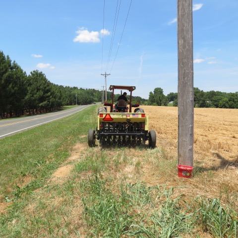 seeding between power poles