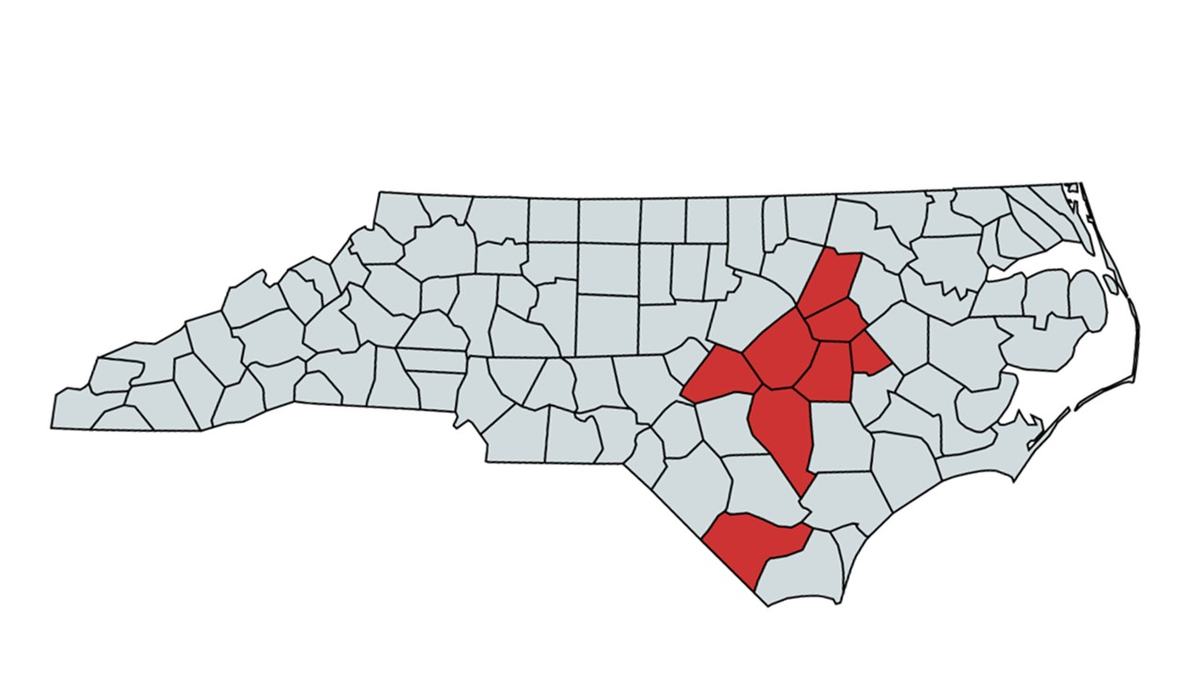 Image of Guava root knot nematode