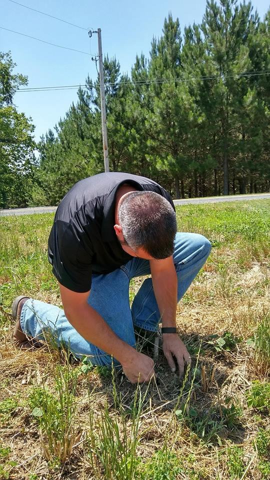 agent checking seeding accuracy