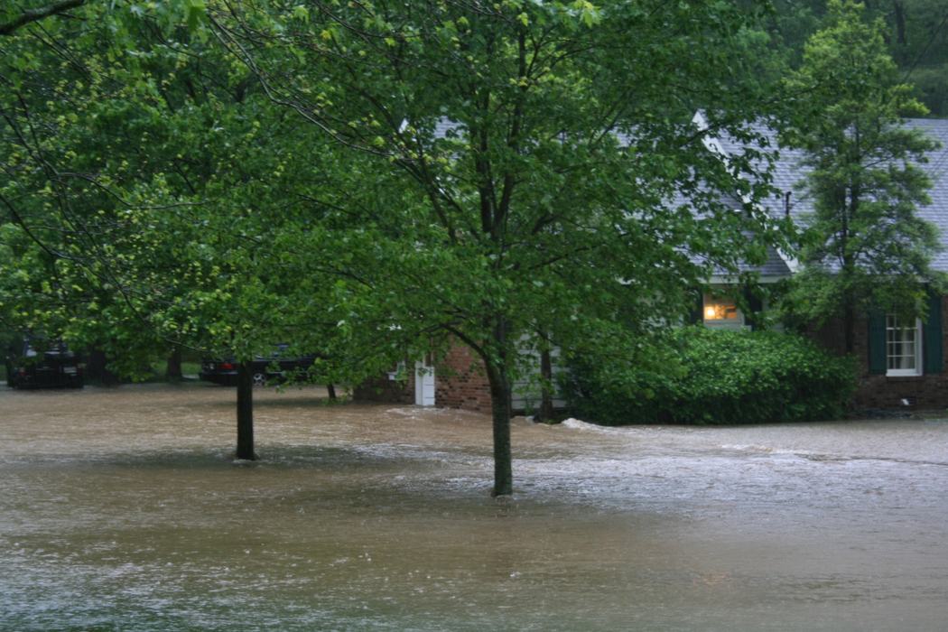 flooded lawn
