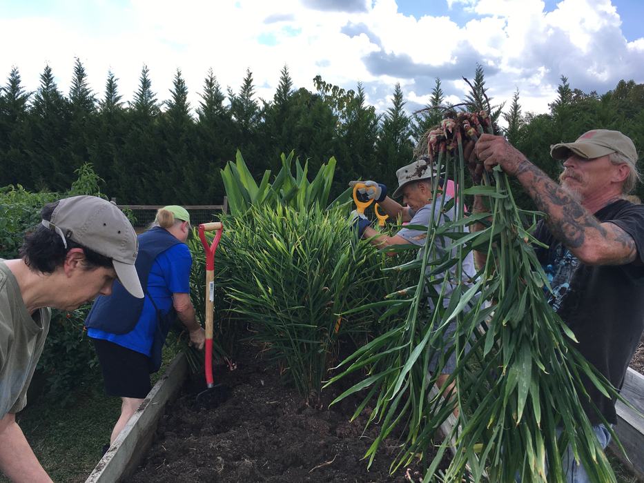 Harvesting Superfoods