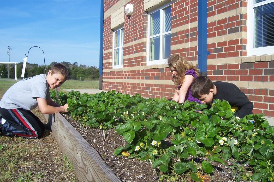 kids planting in raised bed