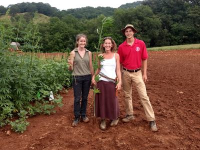 Three people standing in a field holding an uprooted hemp plant; sign reads "Carmagnola Select"