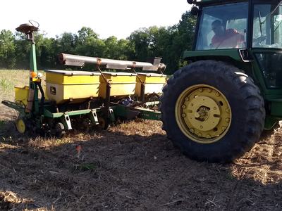 planting corn