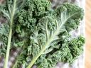 Fresh curly kale leaves on a checkered cloth over a wooden cutting board