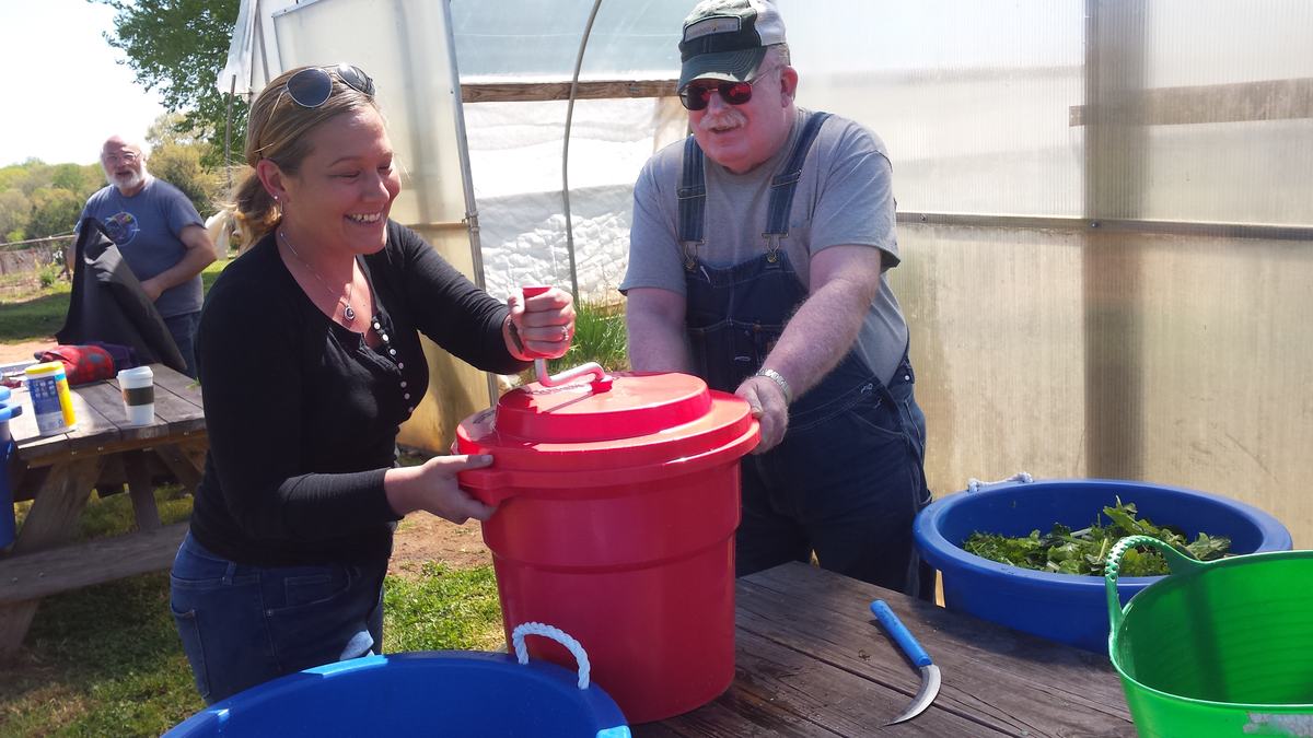 market gardener class washing greens