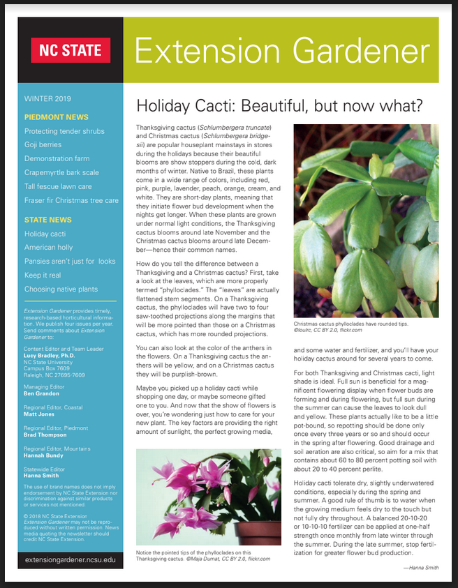 Extension Gardener newsletter