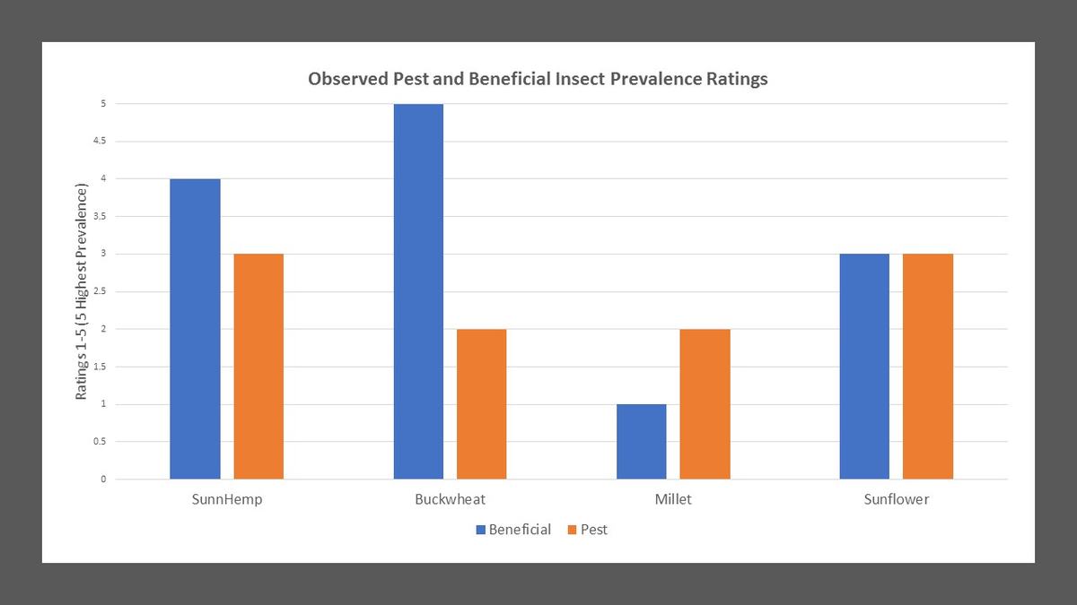 insect prevalence ratings