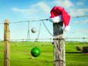 Santa hat and green and silver baubles hanging from a wooden fence post in a grassy field