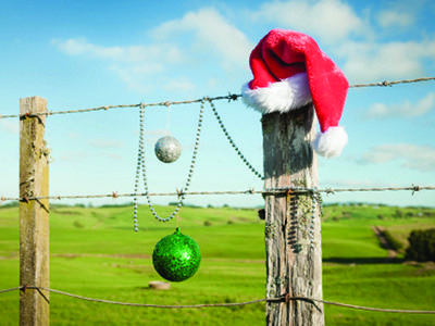 Santa hat and green and silver baubles hanging from a wooden fence post in a grassy field