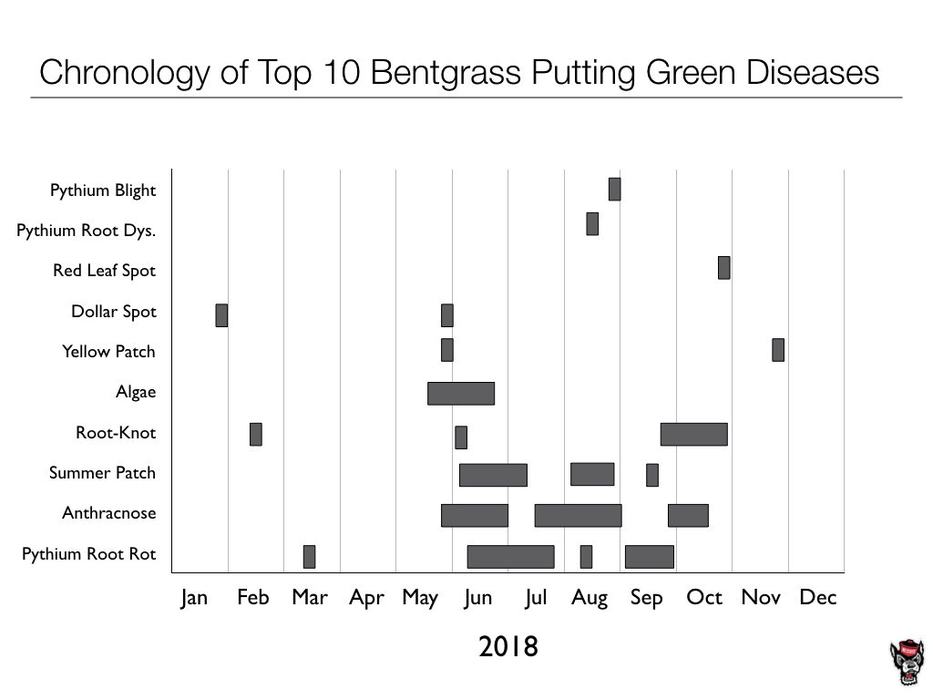TDL summary chart image 19
