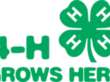 4-H logo