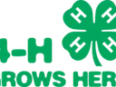 4-H logo