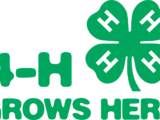 4-H logo