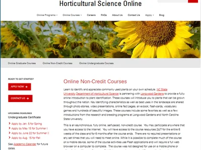 Screen shot of DE Website