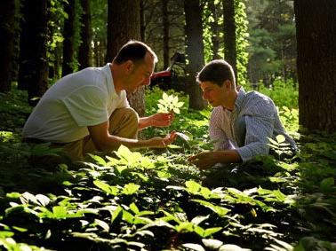 Extension agent in forest
