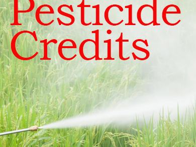 "Pesticide Credits" text over a nozzle spraying mist across a green rice field