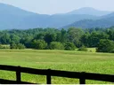 Image of field