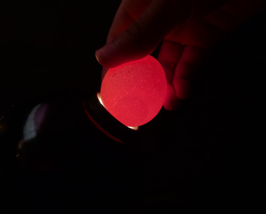 Candling an egg. 