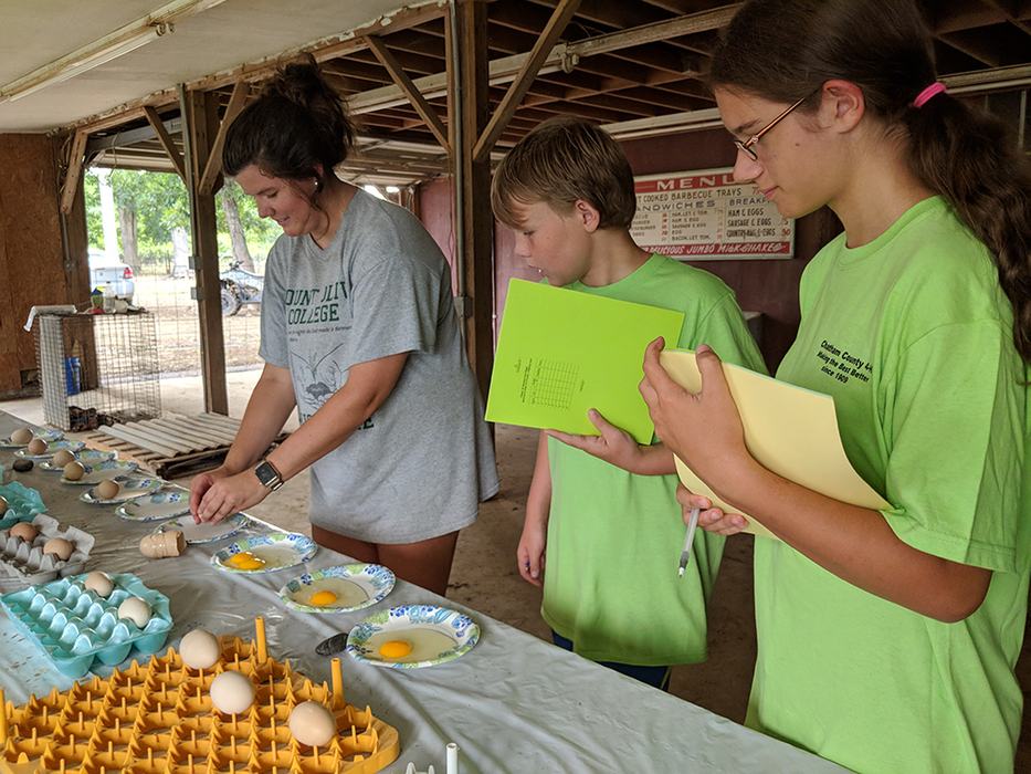 Emma is cracking the eggs so they can be graded: AA, A, B, and inedible. 