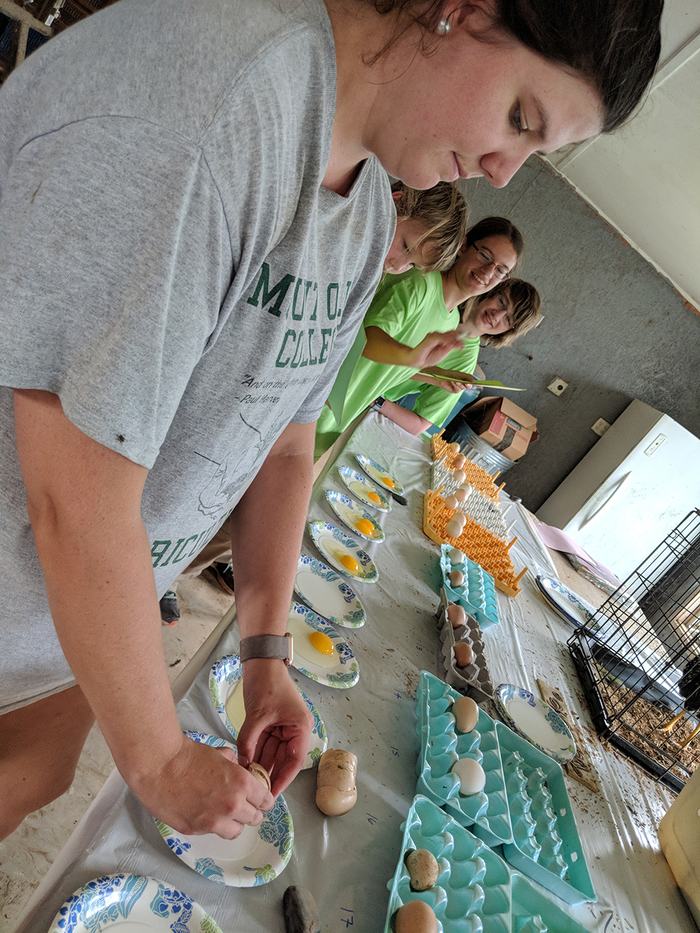 Emma is cracking the eggs so they can be graded