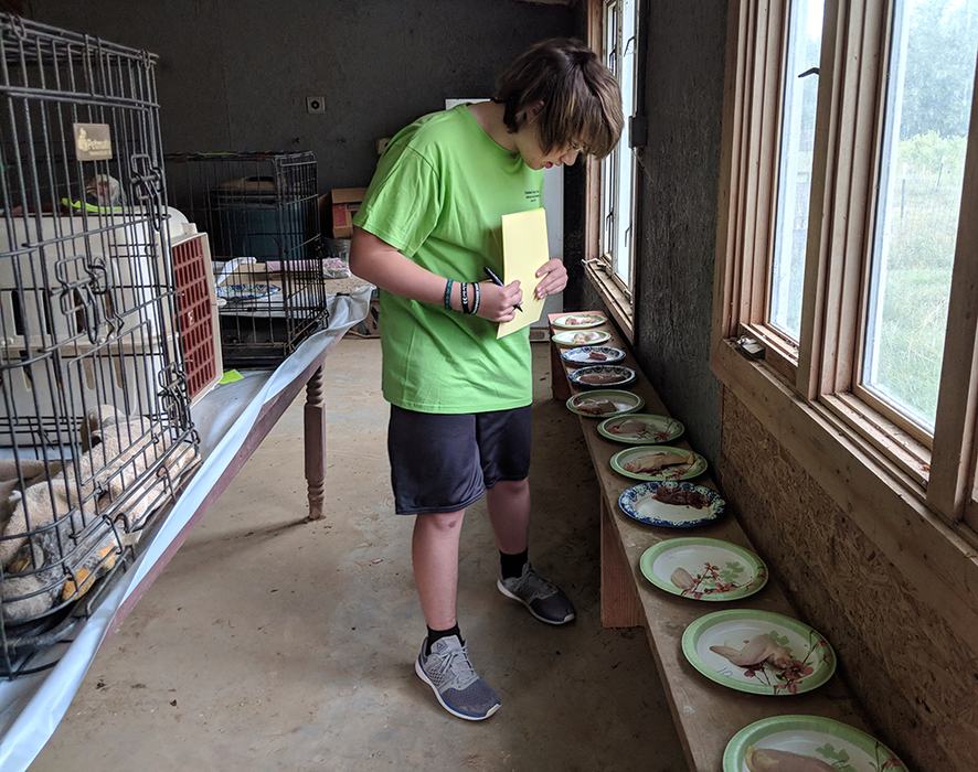 Gage is identifying poultry parts – drumstick, thigh quarter, back, breast, wings, drummette, giblet