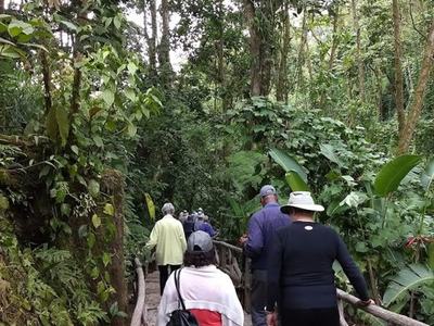Group of hikers walking down stone steps on a forest trail with wooden railings