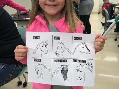 Young girl holding paper with six horse head sketches labeled STAR, SNIP, BLAZE, STRIP, BALD FACE, CHIN SPOT