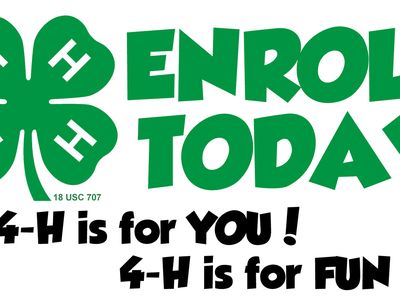 Green 4-H clover logo and large text "ENROLL TODAY"; below: "4-H is for YOU! 4-H is for FUN!"
