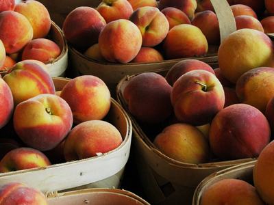 Locally Grown NC Peaches at Farmers Market
