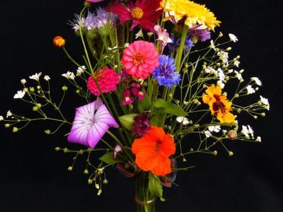Vase of wildflowers