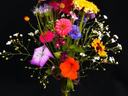 Vase of wildflowers