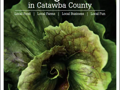 Lettuce on the cover of local food guide