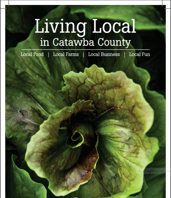 Lettuce on the cover of local food guide