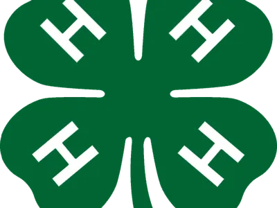 4-H Clover