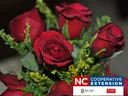 Rose Arrangement