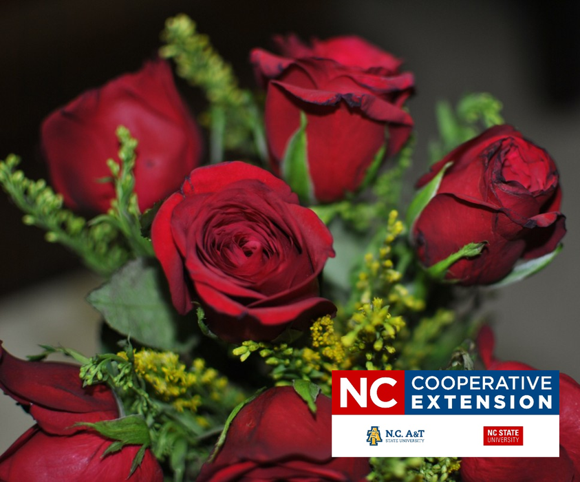 roses