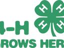 4-H Grows Here Logo