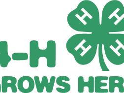 4-H Grows Here Logo