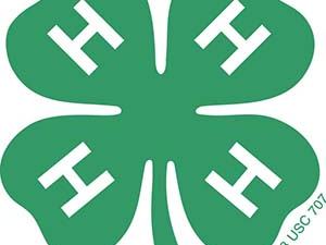 The 4-H logo.