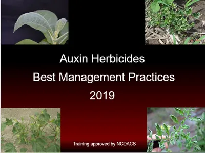 The 2019 Auxin Herbicides-Best Management Practices training was recently recorded. Contact you local Extension agent for more details.
