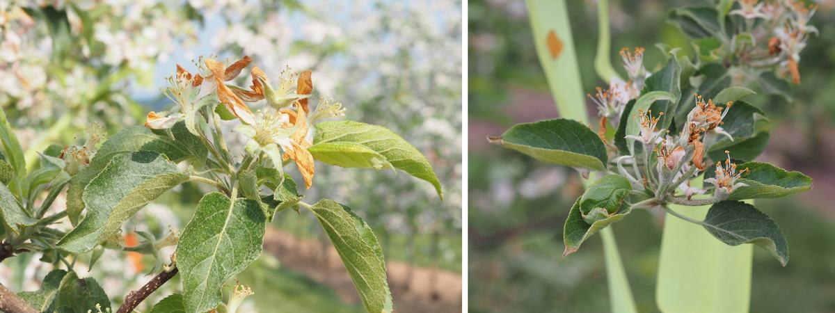 post application issues