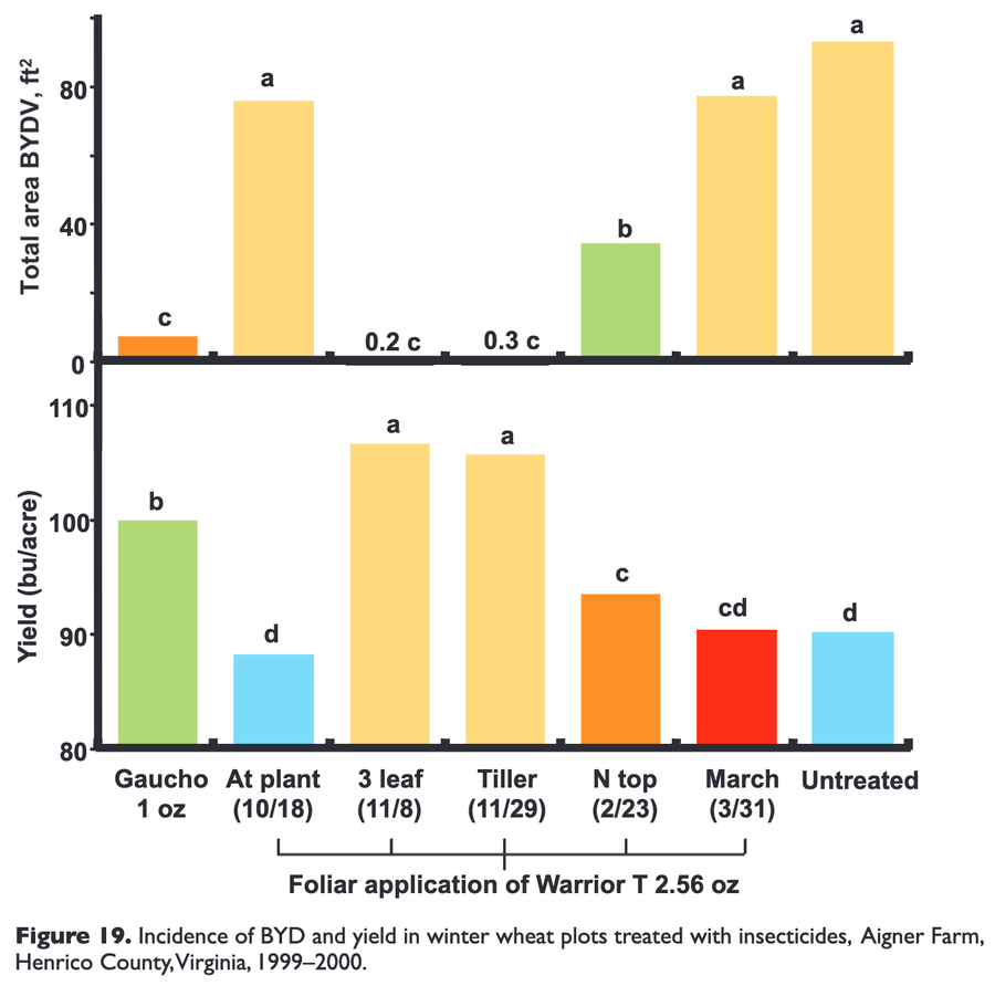 Barley Yellow Dwarf in Small Grains in the Southeast figure 1