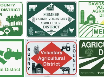 District Member header image