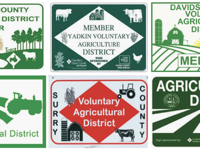 District Member header image