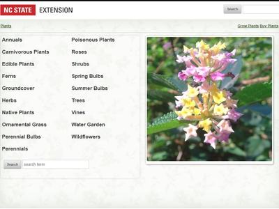 Landing page for plants.ces.ncsu.edu