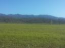 Wide grassy field with distant tree line and blue mountain ridgeline under clear sky