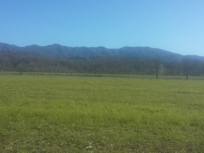 Wide grassy field with distant tree line and blue mountain ridgeline under clear sky